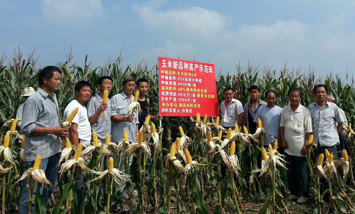 紅四方控失復合肥