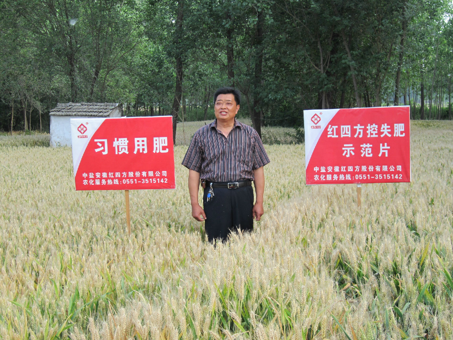 紅四方控失復合肥