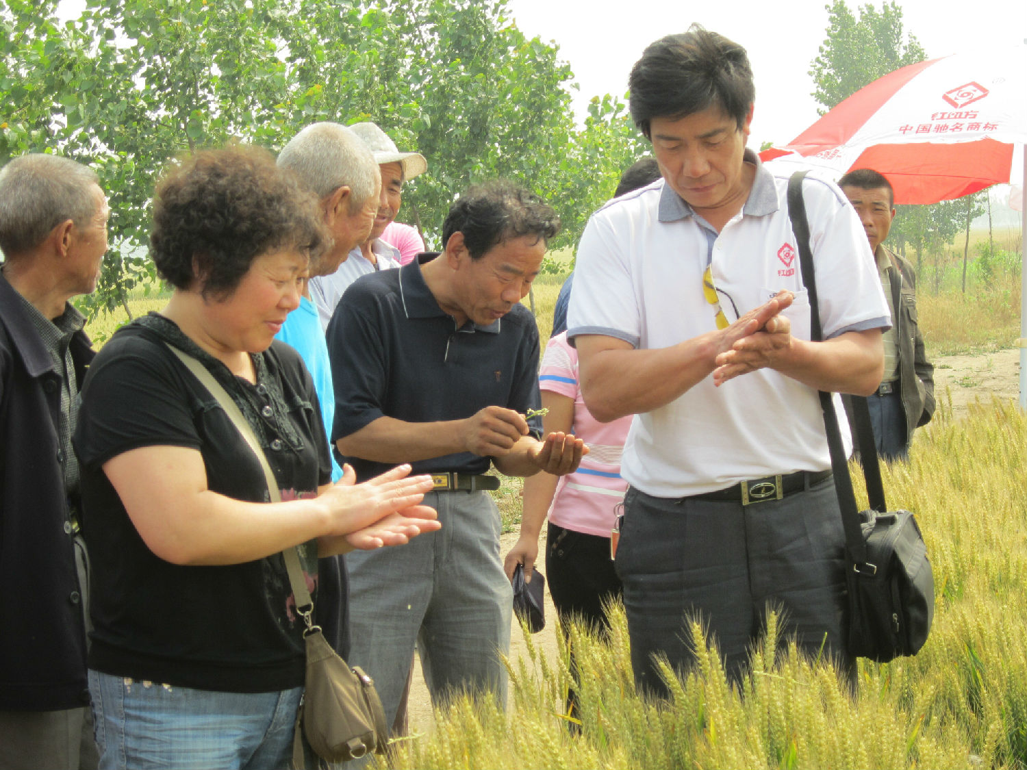 紅四方控失復合肥