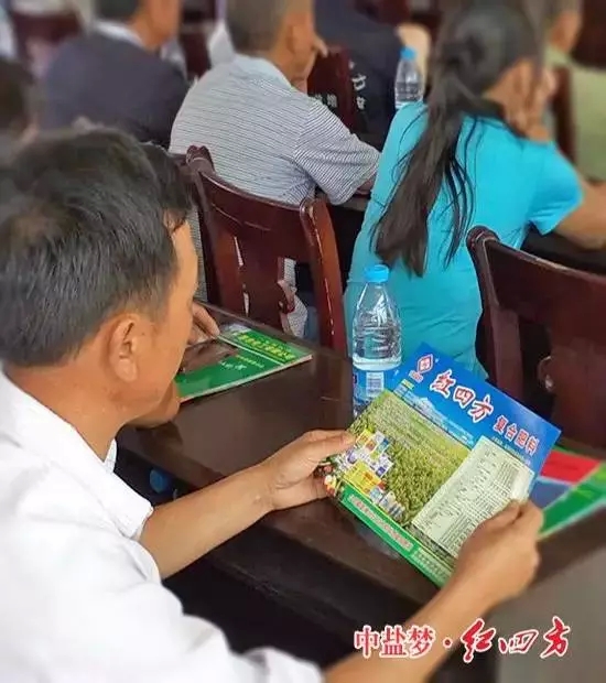 研究起紅四方復合肥產品單頁