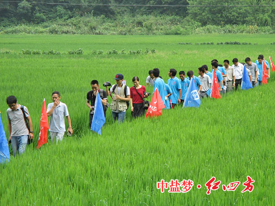 身著“紅四方”藍(lán)色文化衫，種植大戶們一邊觀賞蔥蔥郁郁的水稻，一邊親身體驗(yàn)紅四方緩釋肥培育的“非比尋常”水稻。