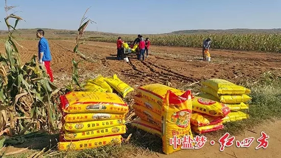 俺們這種地就要用紅四方升級版純硫酸鉀45%(15-15-15),源動力,雙硫基,更利于吸收 俺們這種地就要用紅四方升級版純硫酸鉀45%(15-15-15),源動力,雙硫基,更利于吸收