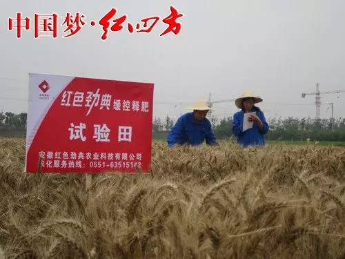 紅四方農(nóng)化服務(wù)現(xiàn)場 紅四方農(nóng)化服務(wù)現(xiàn)場