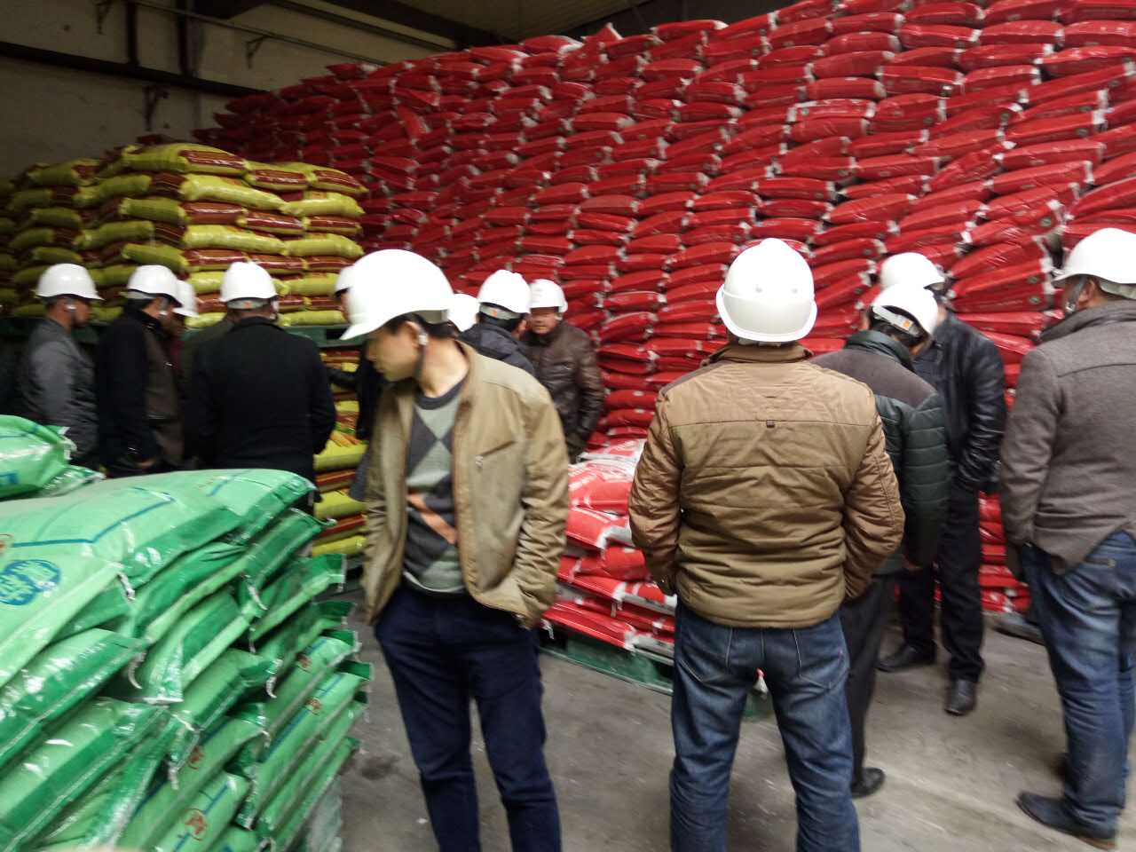 尚莊農(nóng)藥肥料批發(fā)商來參觀紅四方復(fù)合肥廠家