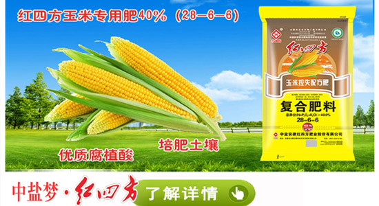 紅四方玉米高產(chǎn)專用肥