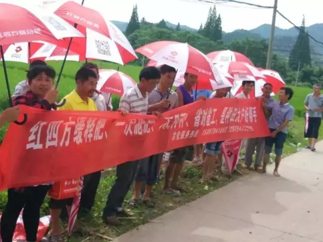東鄉縣水稻對比示范田觀摩會