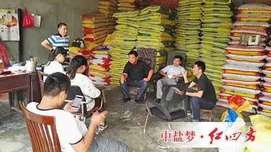 草莓專用肥訂購會即將開始 草莓專用肥訂購會即將開始