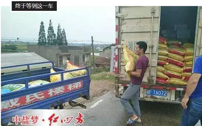 復合肥運輸車到了,趕緊卸貨 復合肥運輸車到了,趕緊卸貨