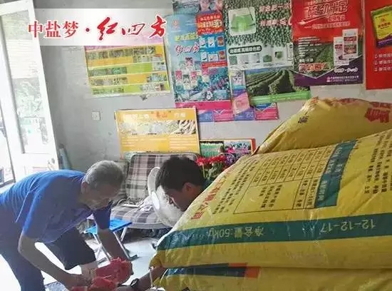 下鄉做宣傳，老伯為我們端來西瓜解暑。