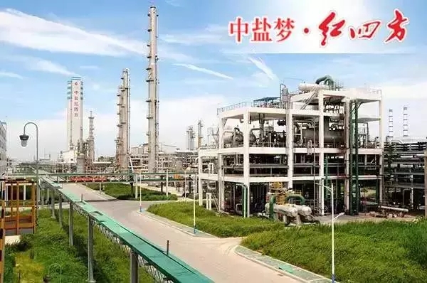 集農化、鹽化、精細化工、新能源、新建材等系列產品，可滿足國內外的四方朋友，產品遠銷亞洲及歐美市場，必將成為華東地區最大的循環經濟新型工業化企業。