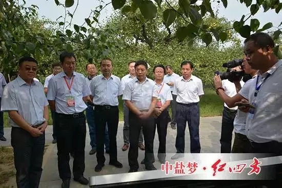 他們走進(jìn)“數(shù)字果園”梨樹(shù)王示范點(diǎn)，走進(jìn)中鹽紅四方肥料試驗(yàn)示范園。