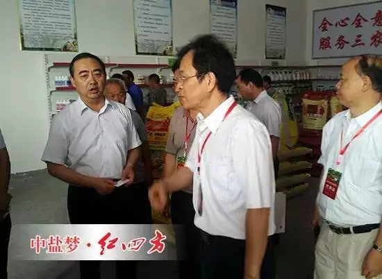 他們的梨樹(shù)全部選用了高效綠色的紅四方硫酸鉀（17-17-17）復(fù)合肥，結(jié)出的梨子個(gè)頭更大，汁更多，味更甜，還能提前上市。