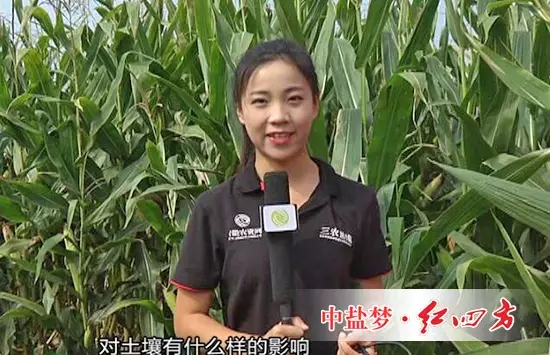 民以食為天,食以土為本,在很多人的印象里,肥料往往會引起土壤退化等一系列問題,那么,紅四方控失肥對土壤有什么樣的影響呢? 民以食為天,食以土為本,在很多人的印象里,肥料往往會引起土壤退化等一系列問題,那么,紅四方控失肥對土壤有什么樣的影響呢?