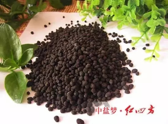 有機肥顆粒 有機肥顆粒